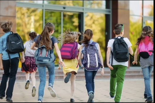 scolarité enfants placés